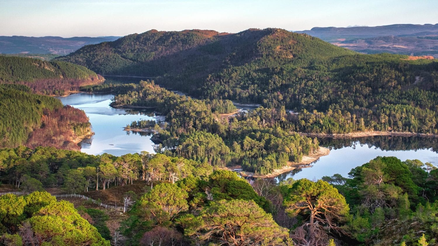 Aerial view of the Caledonian Forest