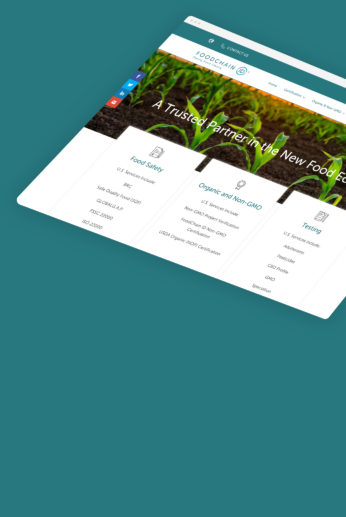 Growing a global brand with internationalised WordPress