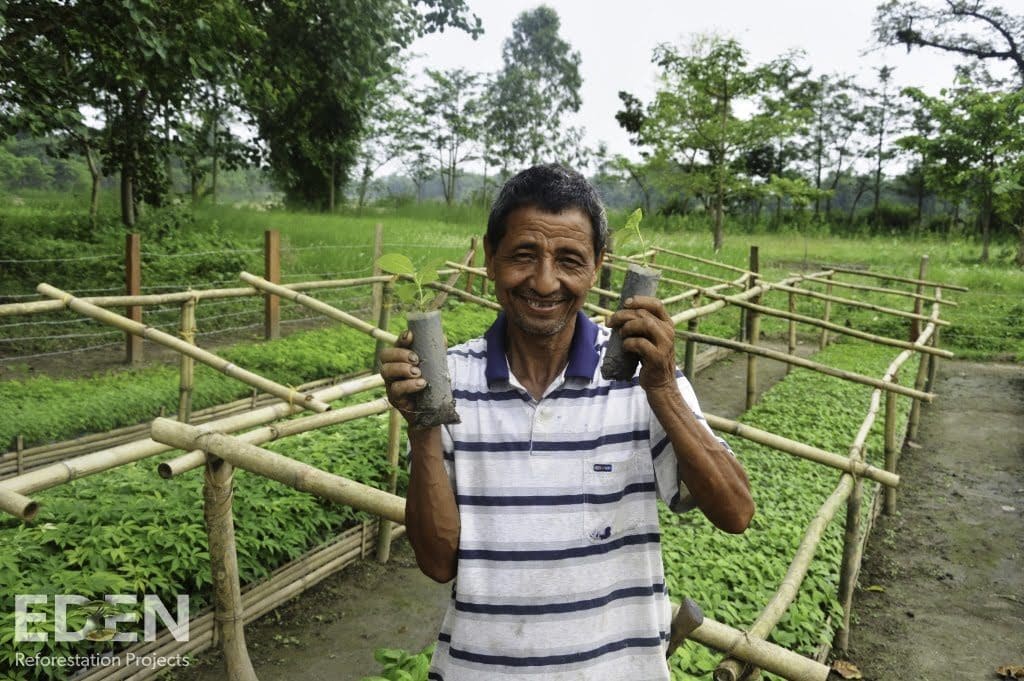 Man holding tree saplings