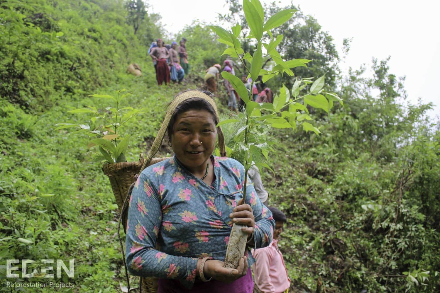 Bhima Sharu in the Nepal tree nursery