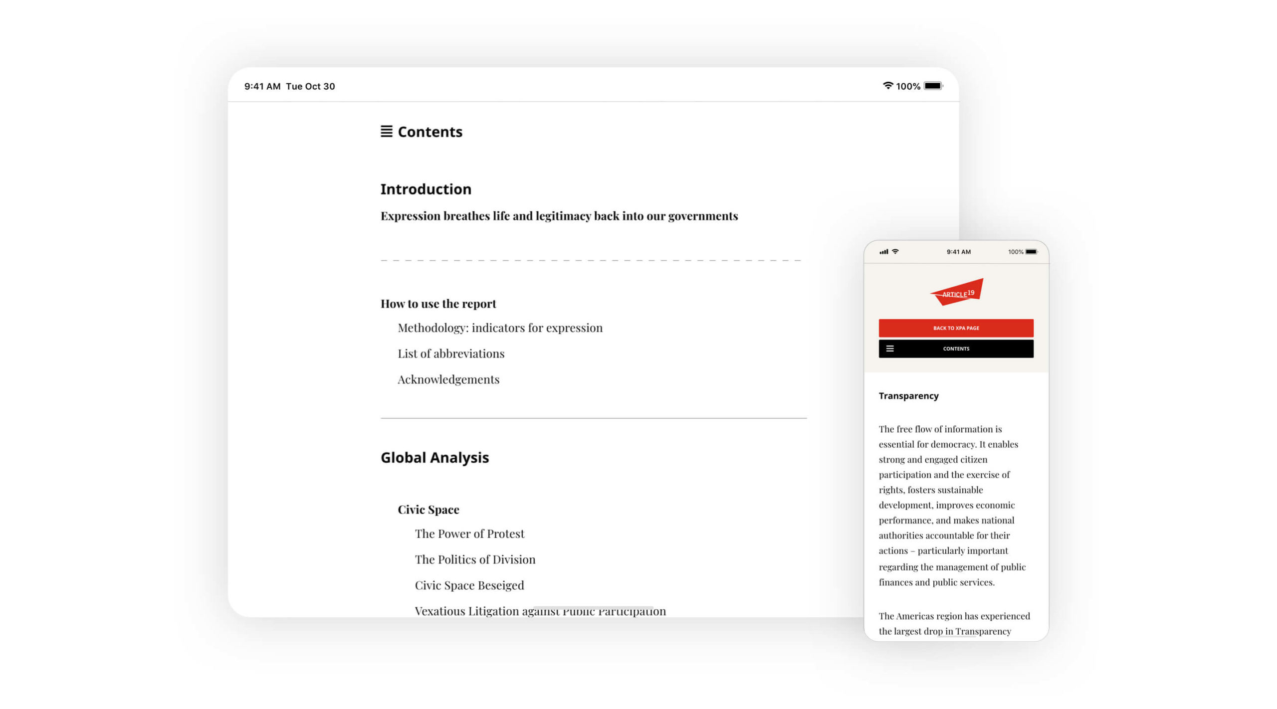 Article 19 Online Reader Screenshot