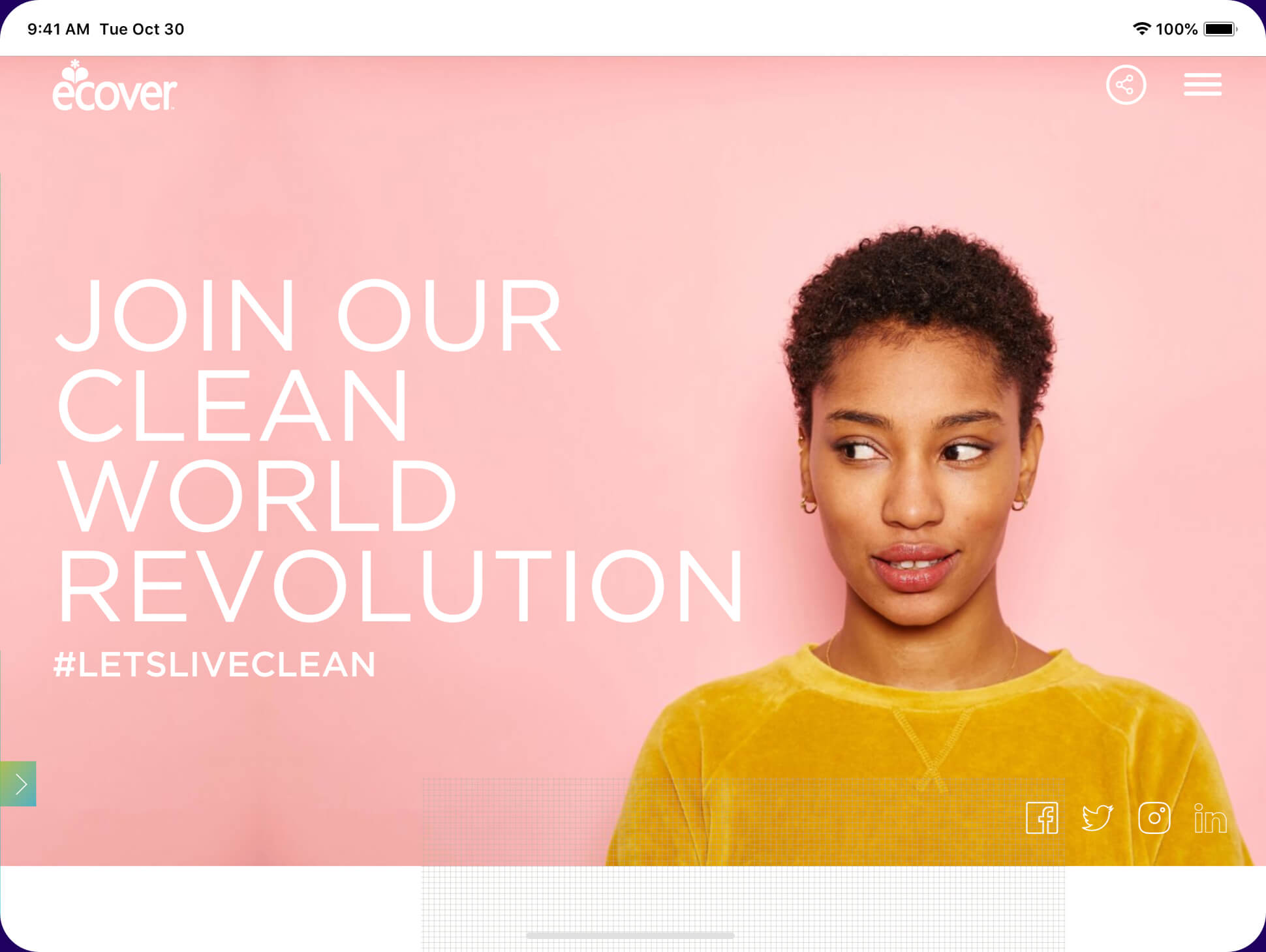image of ecover website