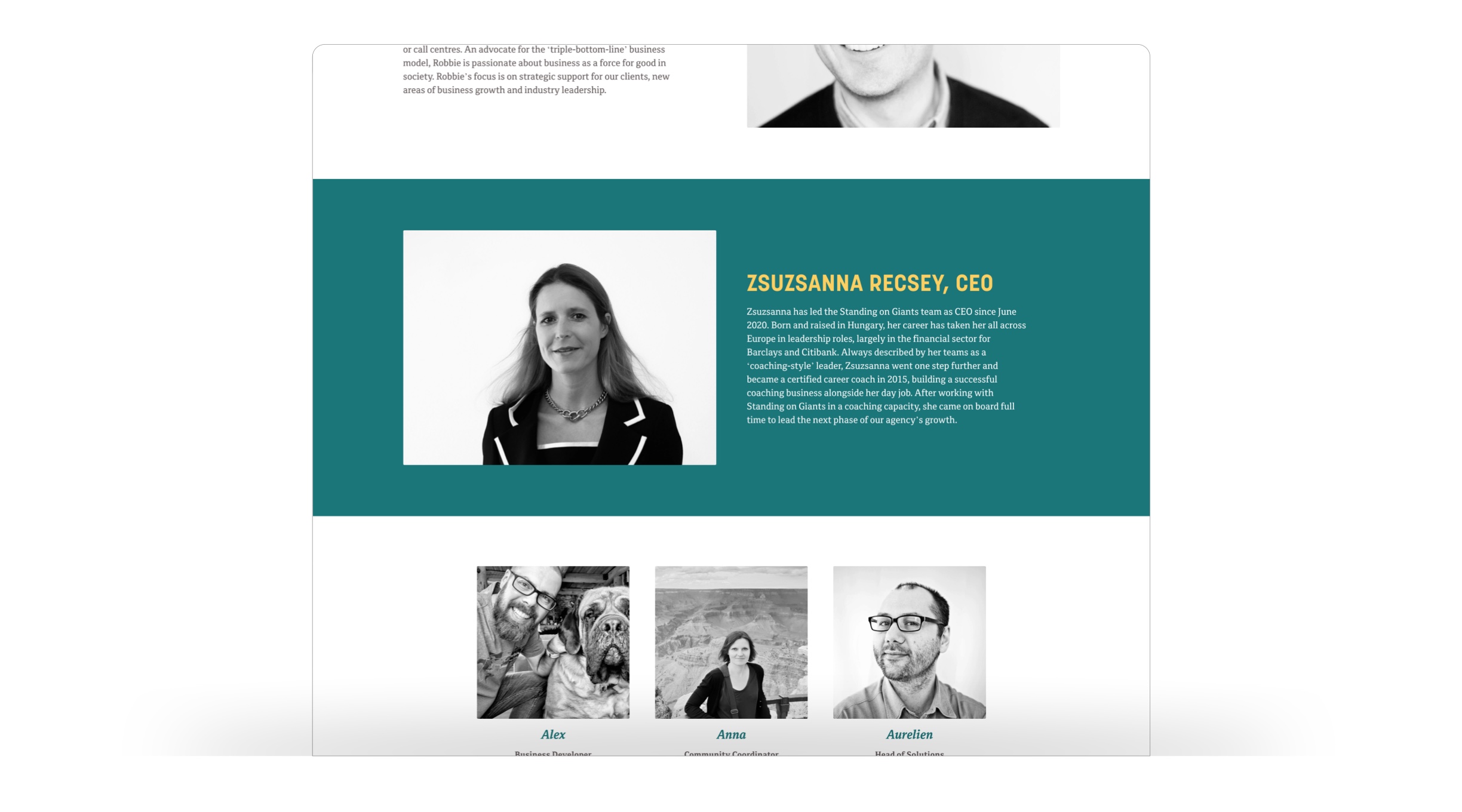 Image of the team page, highlighting the CEO's profile