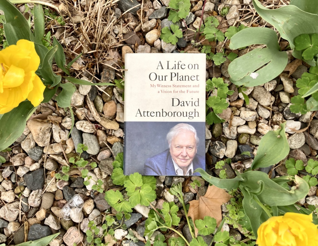 A Life on Our Planet by Sir David Attenborough