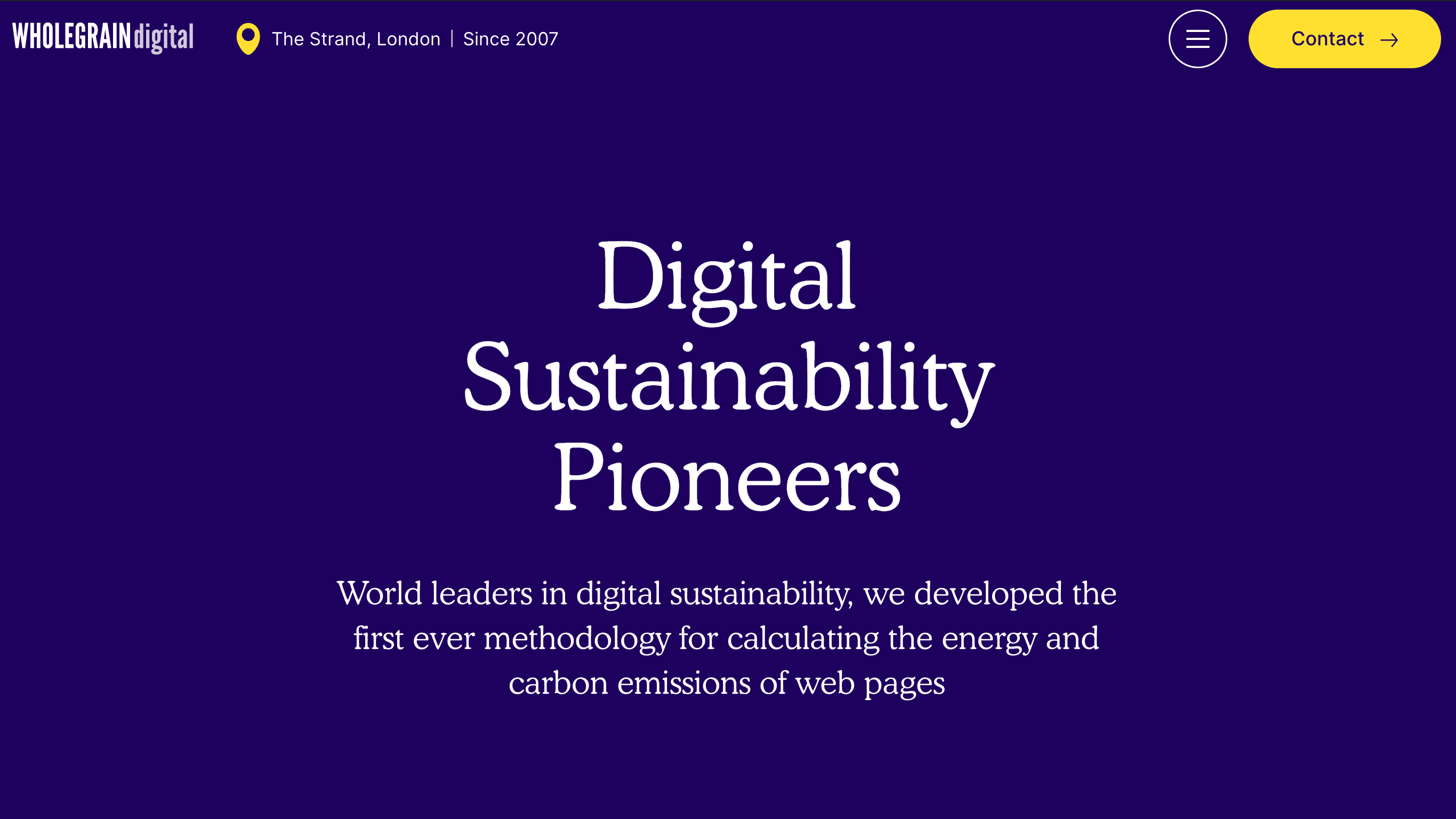 Digital Sustainability Pioneers