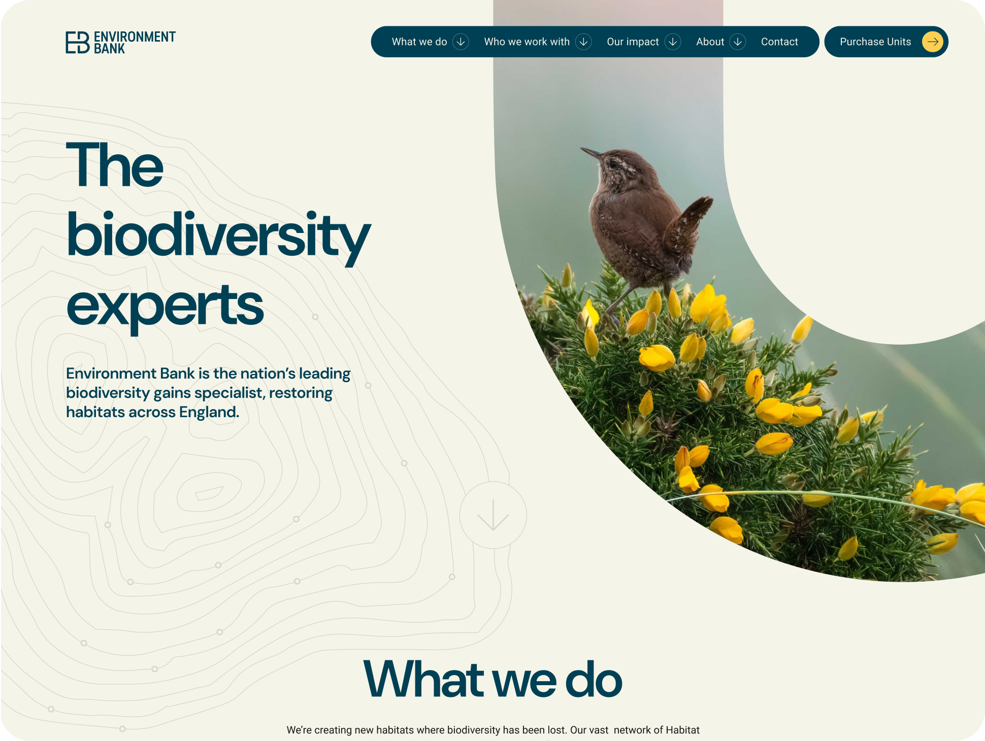 Screenshot of the Environment Bank homepage in 2025